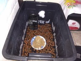 IMG_20210122_101746674.jpg