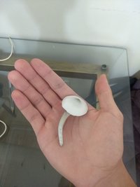 IMG_20210224_084846389.jpg