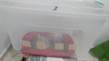 IMG_20210225_193132.jpg