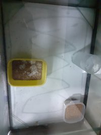 20210225_202525.jpg
