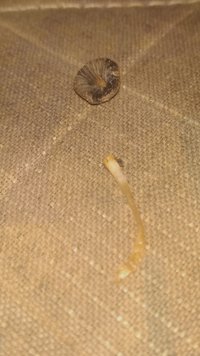 IMG_20210302_114554359~2.jpg