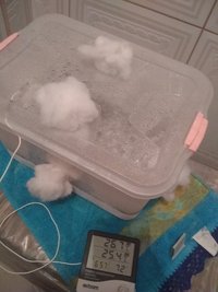 IMG_20210303_195127705.jpg