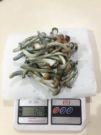 14050F27-3D2A-4A48-801D-E5153B5B939F.jpeg
