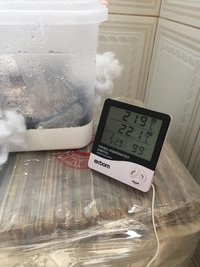 9352851C-4F95-4710-82AC-1897AB164AB9.jpeg