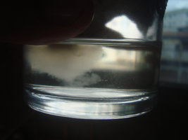 DSC00287.JPG