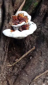 20210315_171113.jpg