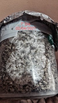 3d6ab1df-1b0f-4af4-ae63-298d9c252b8d.jpg