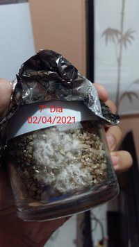 40acd57d-fa07-4874-bc7c-7f1fda74cf3b.jpg