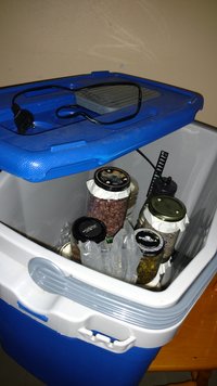 IMG_20210404_190041322.jpg