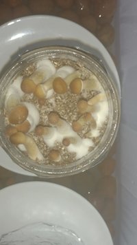 pote02.jpg