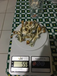 IMG_0638.jpg