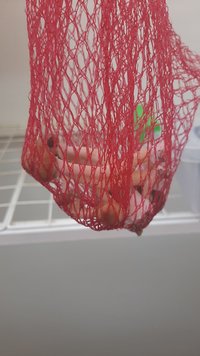 IMG-20210428-WA0051.jpeg