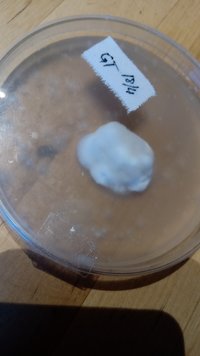 IMG-20210502-WA0010.jpeg