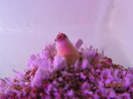 IMG_8187.JPG