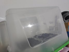 IMG_20210512_145739204.jpg