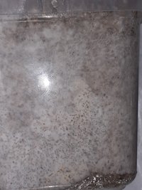 20210513_183253.jpg