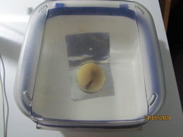 IMG_8198.JPG