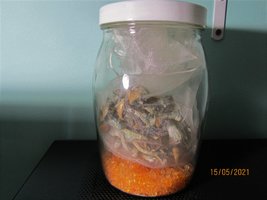IMG_8201.JPG