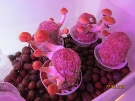 IMG_8207.JPG