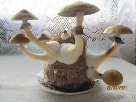 IMG_8208.JPG