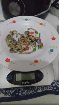 IMG-20210530-WA0007.jpeg