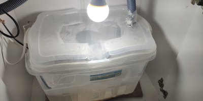 IMG_20210530_145655.jpg