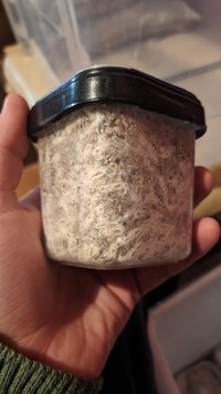 IMG_20210602_120115.jpg
