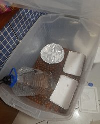 2107 4.jpg