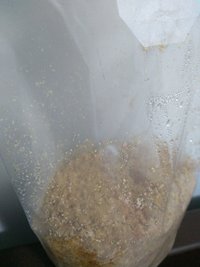 IMG_20210802_195613630.jpg