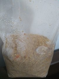IMG_20210802_195726500.jpg