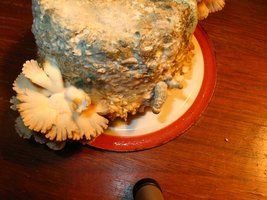 474537128-contam_07_17_07_5.jpg