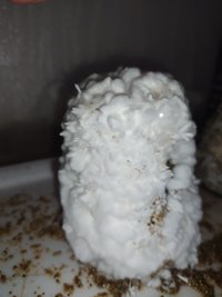 IMG_20210818_125608.jpg
