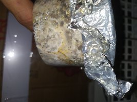 IMG_20210827_200737.jpg
