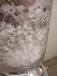 pote3.jpg