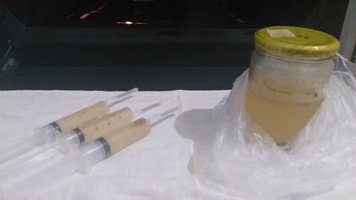 Clonegu #2, o Fim de um Isolamento via CL - MDK PF Tek (Diário 18)