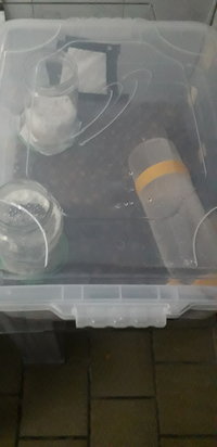 20210914_194244.jpg