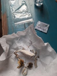 20210915_172732.jpg