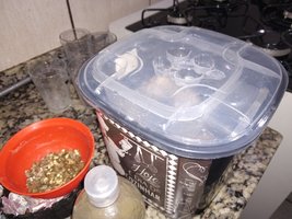 IMG_20210922_223501585.jpg
