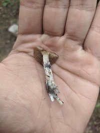 MVIMG_20210923_123331.jpg