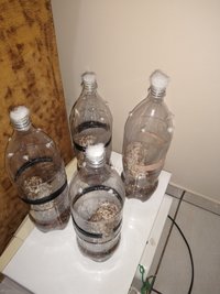 IMG_20210923_195332058.jpg
