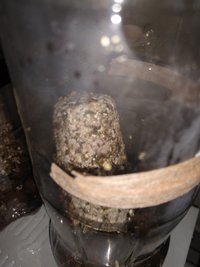 IMG_20210923_195304468.jpg