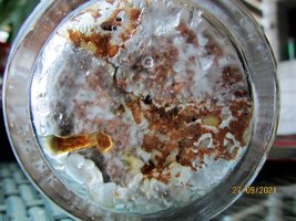 IMG_8267.JPG