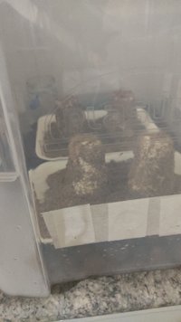 IMG-20210925-WA0260.jpeg