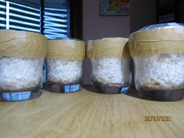 IMG_8268.JPG