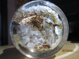 IMG_8270.JPG