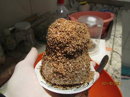 IMG_8277.JPG