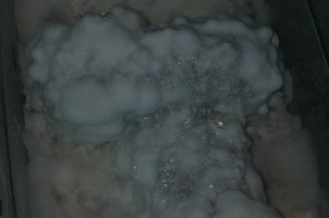 IMG_20211007_141903856.jpg