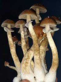 20201004_180236.jpg