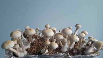 20201205_180849.jpg