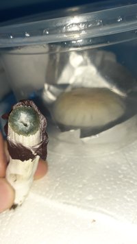 20201219_102414.jpg
